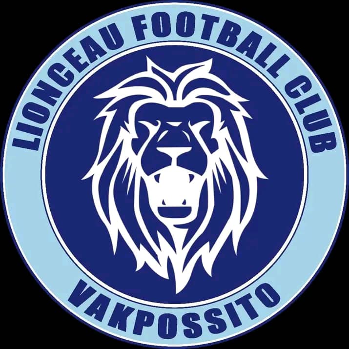 228Foot Lionceau FC de Vakpossito